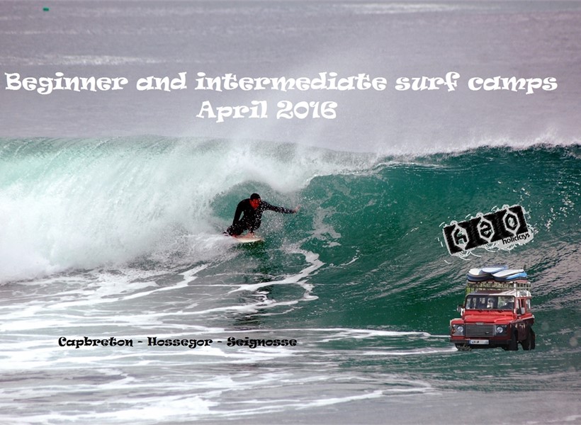 Would you like to improve your surfing ?